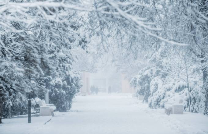 14 января в Волгограде ожидается снег с ледяным дождем и гололед